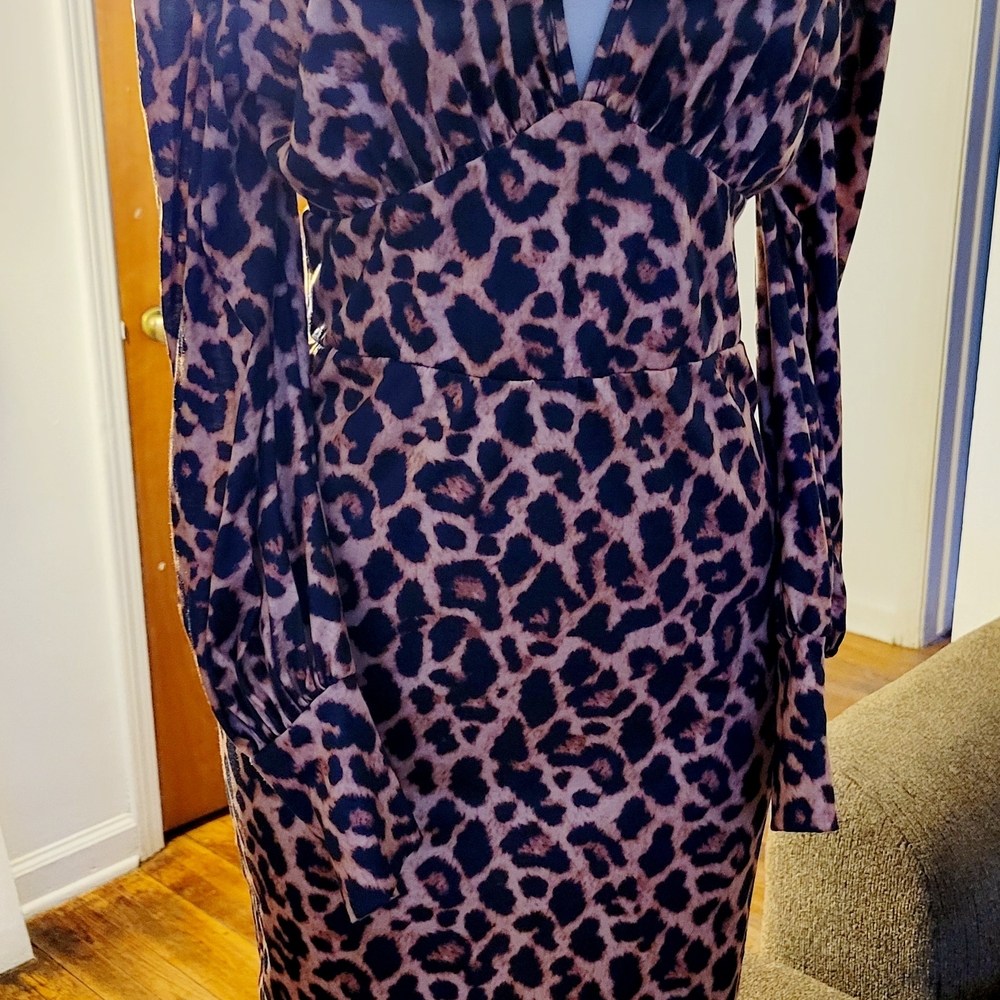 Leopard Print Long Sleeve Dress